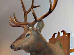 B 06 ELK SAN DIEGO SWING DANCE CLUB_ ELKS-